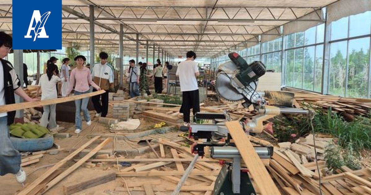 Tamkin opettaja lähti Kiinaan ja laittoi paikalliset opiskelijat keräämään rojua