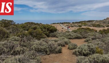 13-vuotias putosi kuolemaansa Teneriffalla - Ilta-Sanomat