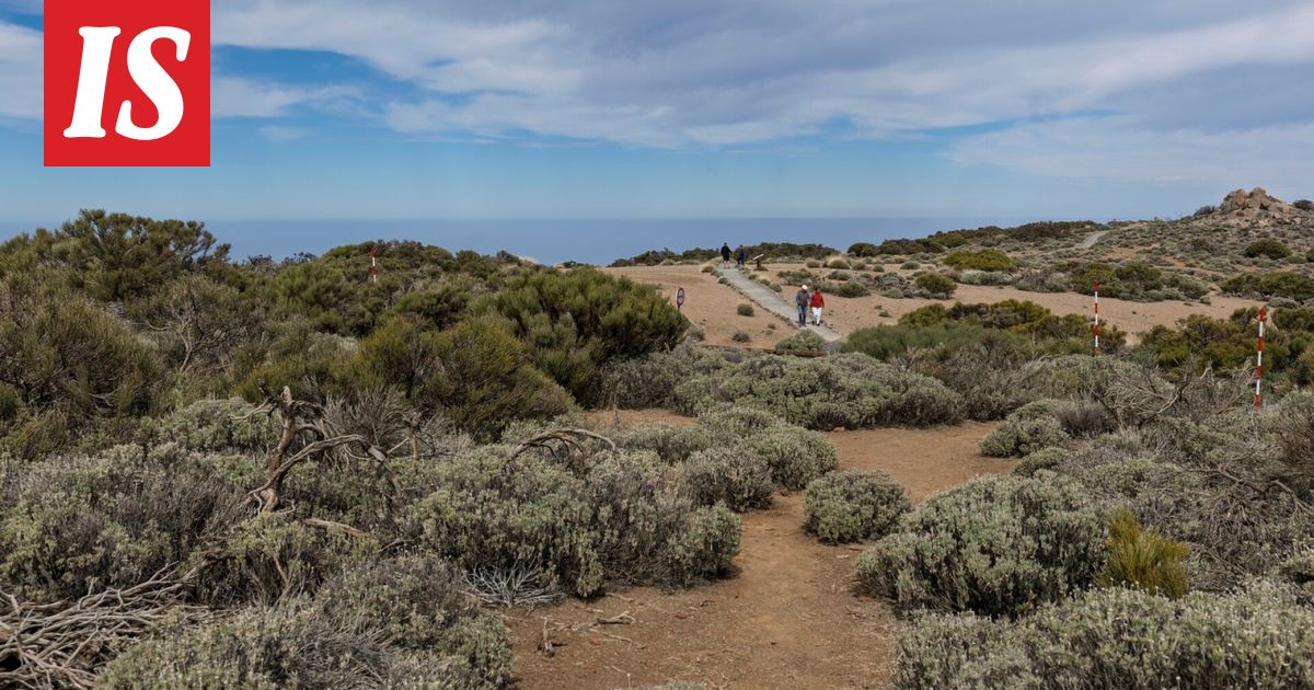 13-vuotias putosi kuolemaansa Teneriffalla - Ilta-Sanomat