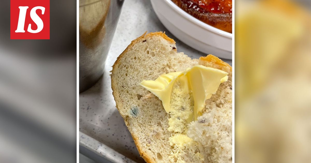 Varusmiehille tarjottu homeista leipää Kainuun prikaatissa