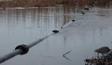 Saimaan ranta-asukkaan havainto käynnisti kiireelliset viemärityöt Ristiinassa – uhkana iso ympäristövahinko | Etelä-Savo