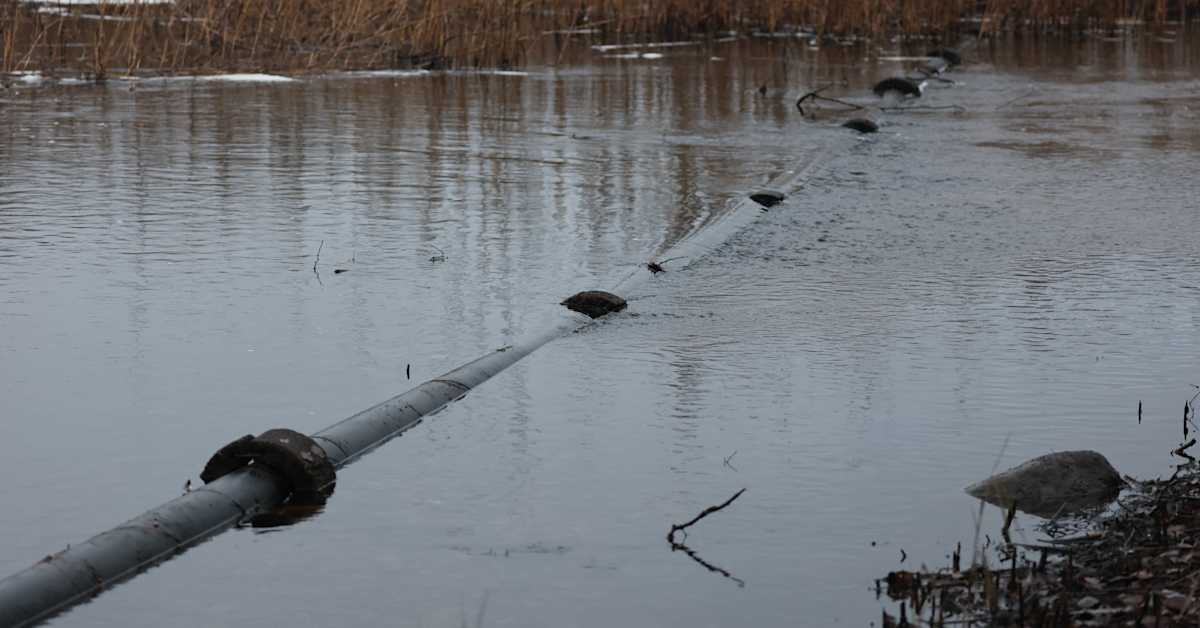 Saimaan ranta-asukkaan havainto käynnisti kiireelliset viemärityöt Ristiinassa – uhkana iso ympäristövahinko | Etelä-Savo