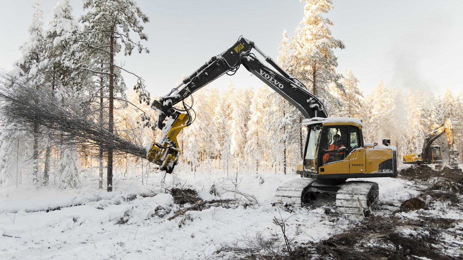 Metsänomistajan viikon viisi tärkeää uutista: UPM ja Sappi niputtavat painopaperinsa, turveyrittäjä ryhtyi ennallistajaksi, metsätuet mullistuvat - Metsä