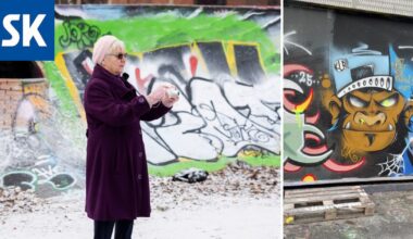 Grafumummo Eeva Ala-Vannesluoma kuvaa Helsingin katutaidetta