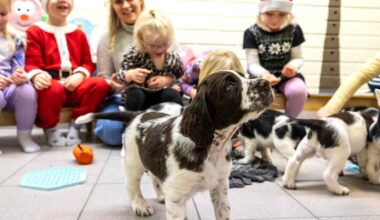 Koira voi pelätä lasta enemmän kuin lapsi koiraa – Pentuliven pennut vierailivat päiväkodissa totuttelemassa lapsiin | Keski-Suomi
