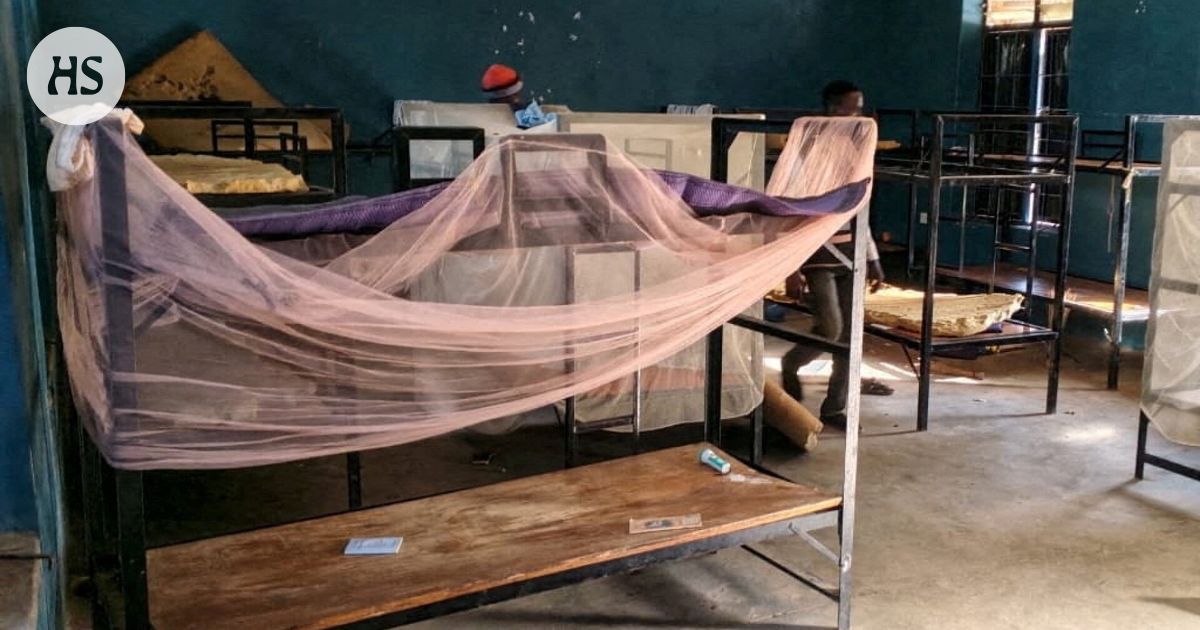 Media: Siepatuista koululaisista sata vapautettu