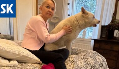 Minna Ala-Heikkilä valmistautuu nyt isoon leikkaukseen