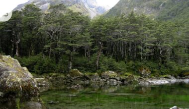 ”Järviräkä” uhkaa samentaa maailman kirkasvetisimmäksi kutsutun järven