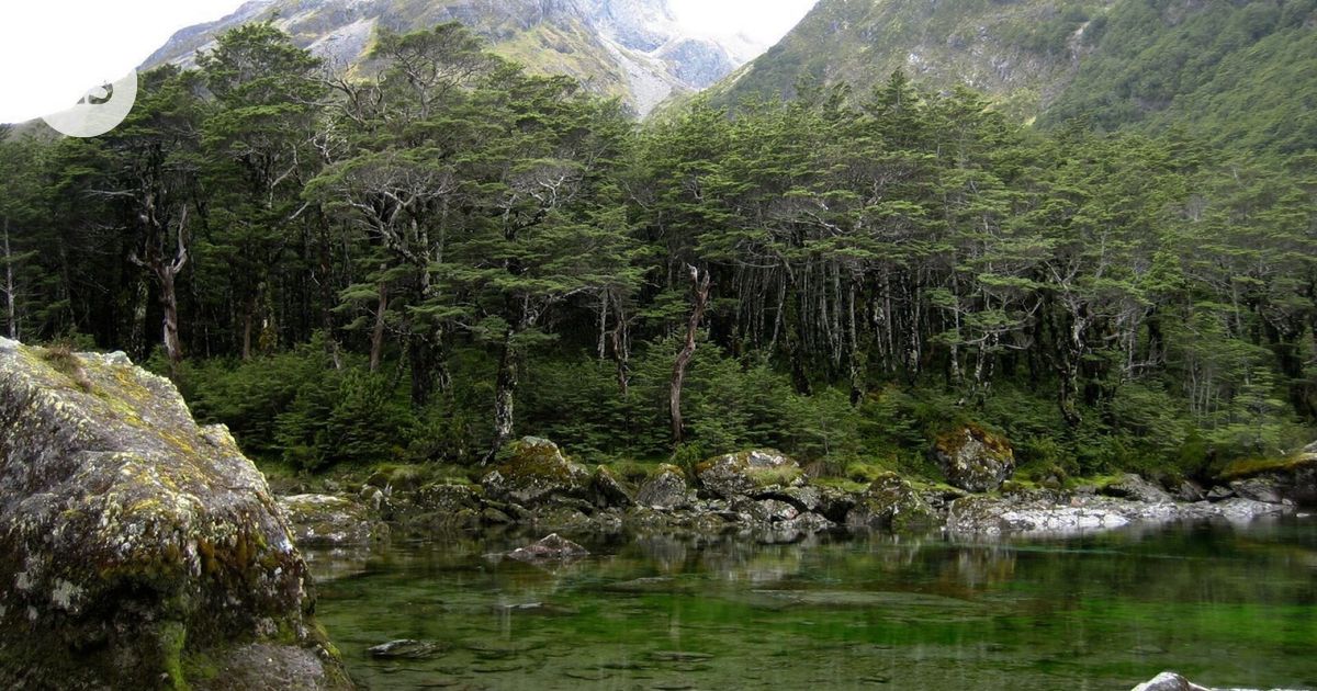 ”Järviräkä” uhkaa samentaa maailman kirkasvetisimmäksi kutsutun järven