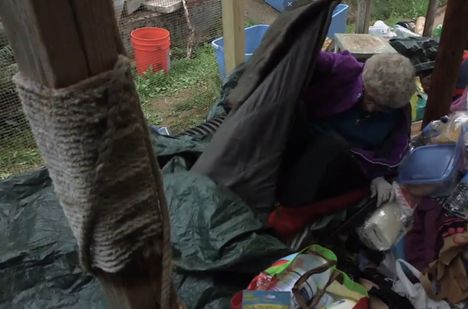 Sybil nukkuu yönsä ulkona kissat kainalossaan.