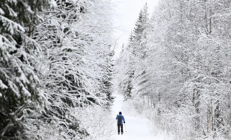 Suomussalmen Piispajärvellä hiihdettiin lumisissa maisemissa 7. joulukuuta.