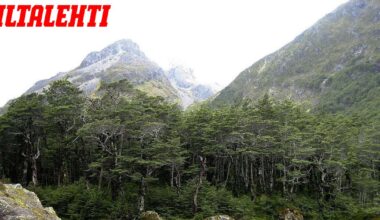 "Järviräkä" uhkaa maailman kirkasvetisintä järveä kaukana ihmisasutuksesta maailman toisella puolella