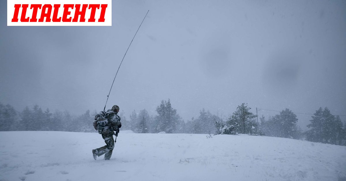 Suomen armeija saa suitsutusta brittimediassa: ”Todella vaikuttavaa”