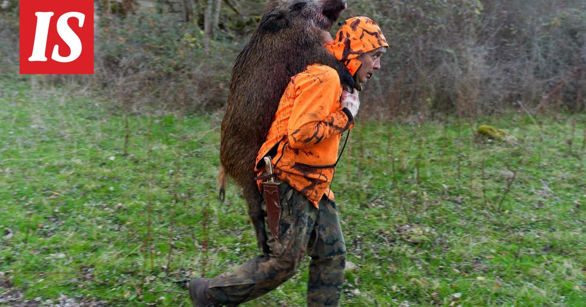 Espanjassa selvitetään karkasiko vaarallinen tauti laboratoriosta