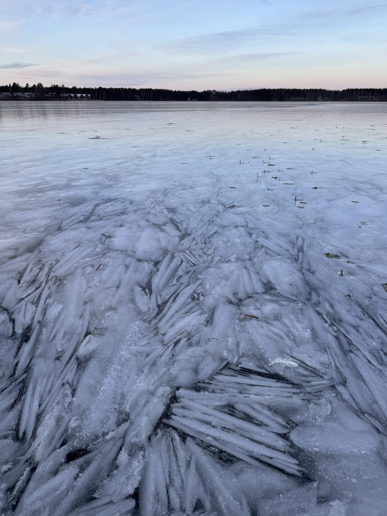Pyykösjärven kirkkaan jääpinnan alla oli mielenkiintoinen mosaiikki joulukuussa 2024.