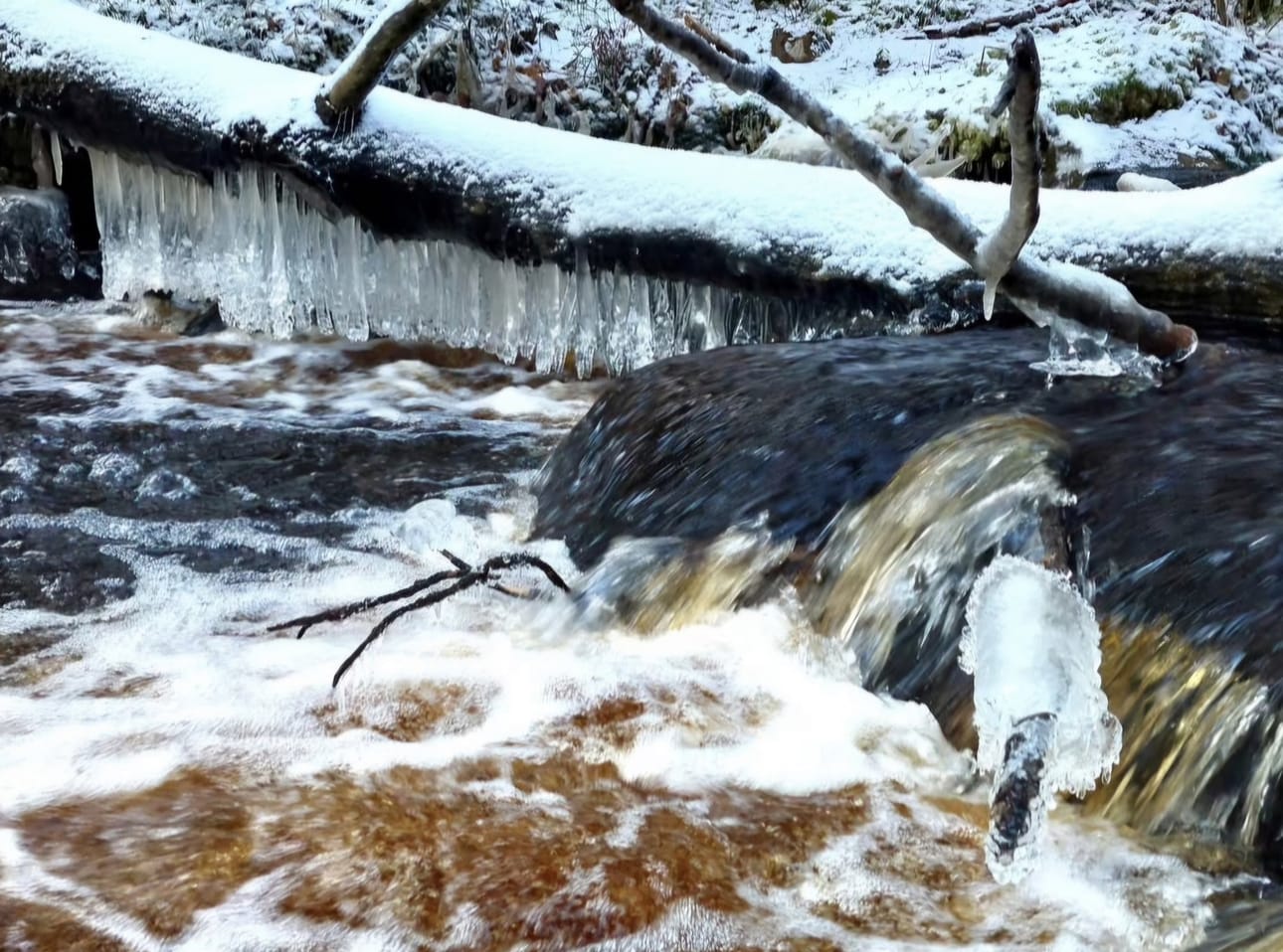 Sanginjoella Myllykoskella muodostui tällainen jääkristallinauha marraskuussa 2024.