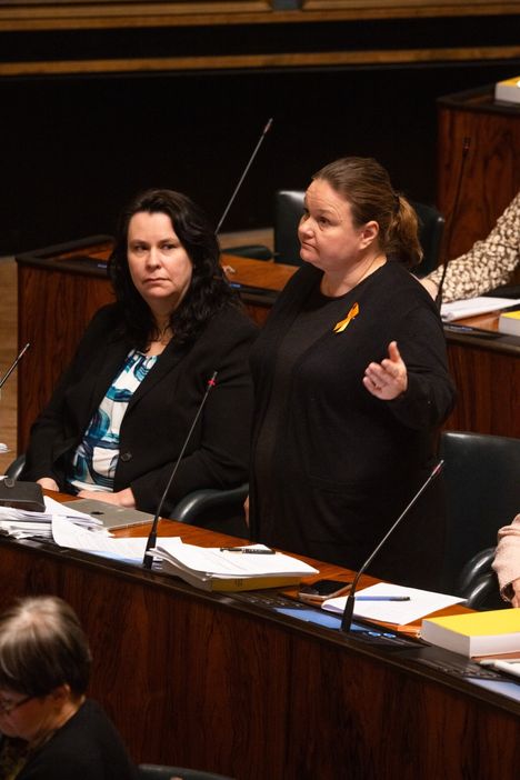 Eduskunnan sosiaali- ja terveysvaliokunnan puheenjohtaja Krista Kiuru intoutui tiistaina puhumaan salissa kuntouttavasta työtoiminnasta, yleistuesta, toimeentulotuesta ja apteekkilaista.