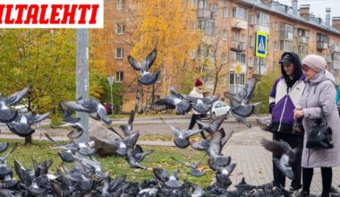 Täältä tulee nyt venäläisiä Suomeen – "Tapa suojella lapsia sodalta"