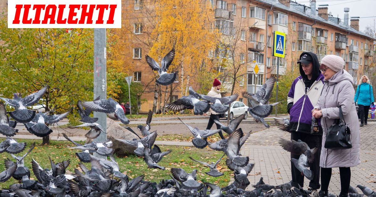 Täältä tulee nyt venäläisiä Suomeen – "Tapa suojella lapsia sodalta"