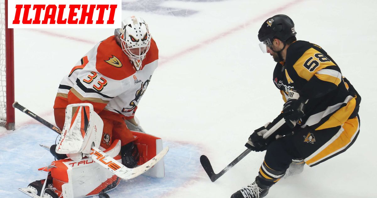 Taas huippuesitys! Nouseeko Leijonien olympiajoukkueeseen todellinen yllätysnimi?