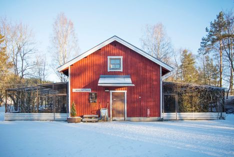 Heinolan lintutarha saa jällleen tänä jouluna joululahjarahoja eduskunnasta, tällä kertaa 15 000 euroa.
