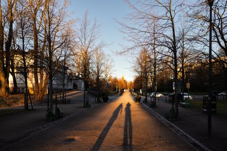 Matalalta paista aurinko venytti varjoja Helsingin Kaivopuistossa.