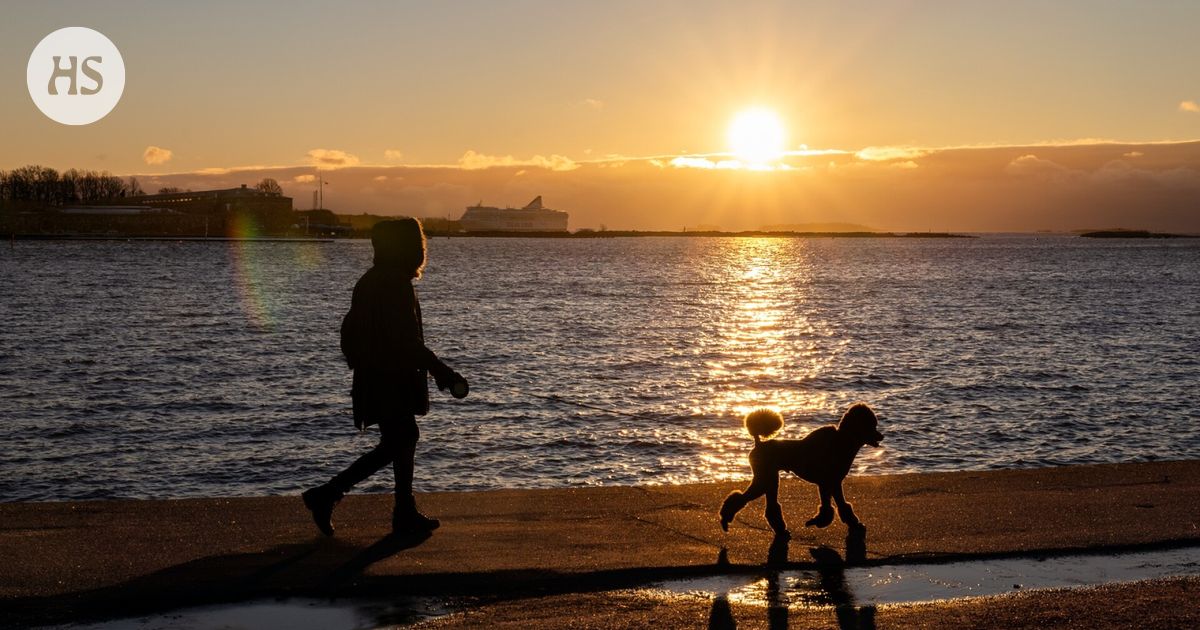 Perjantaina paistaa aurinko | HS.fi