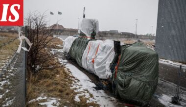 Ben-koira löysi Kim Wallin ruumiin