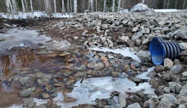 Laukaalaisjärven ympäristöongelmat luultua pahemmat: kaloissa saattanut olla vaarallisia kemikaaleja jo vuosikymmeniä | Kotimaa