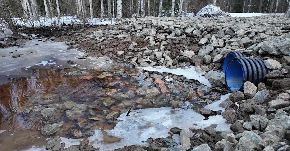 Laukaalaisjärven ympäristöongelmat luultua pahemmat: kaloissa saattanut olla vaarallisia kemikaaleja jo vuosikymmeniä | Kotimaa