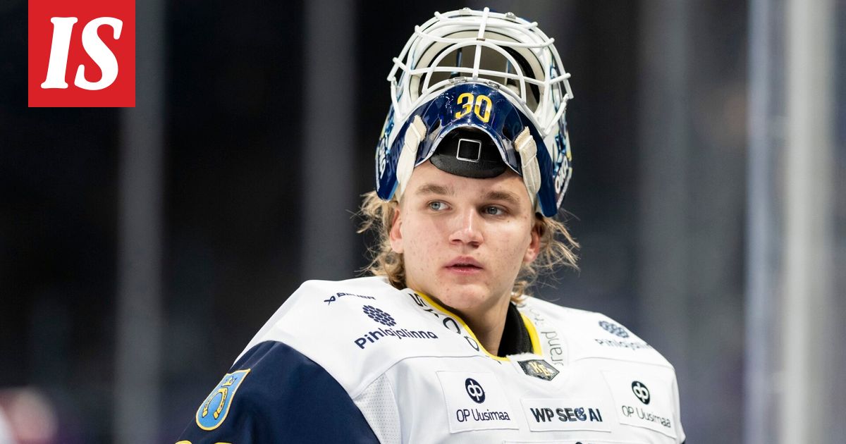 Nuorten Leijonien joukkue MM-leirille julki