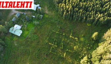 Juhon pellolla näkyy merkillinen kuvio: Tiettävästi ainoa koko maailmassa