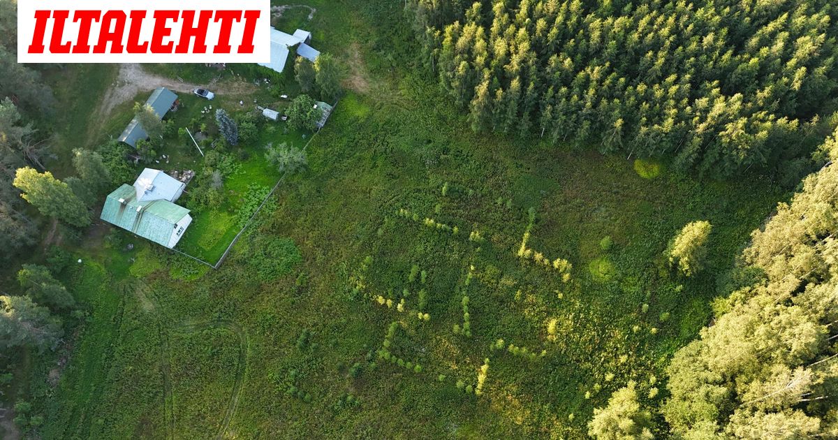 Juhon pellolla näkyy merkillinen kuvio: Tiettävästi ainoa koko maailmassa