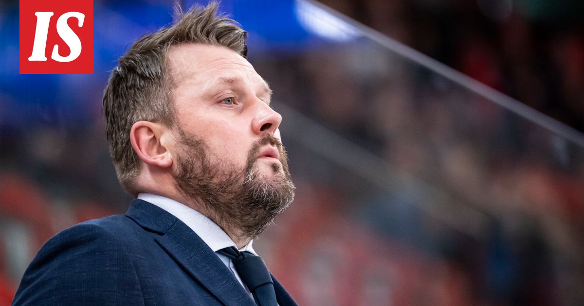 Tylyä tekstiä Leijonista - ”Huonoin mahdollinen tilanne”