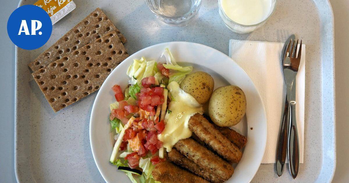 Oma Häme vie ateria- ja laitoshuoltopalveluiden kiistan korkeimpaan hallinto-oikeuteen | Paikalliset