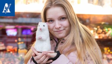 Aito vai ei? Ihmiset sekosivat tamperelaisen Mirjami Aholan suloisista eläin­teoksista, jollaisen saamiseksi on kahden vuoden jono