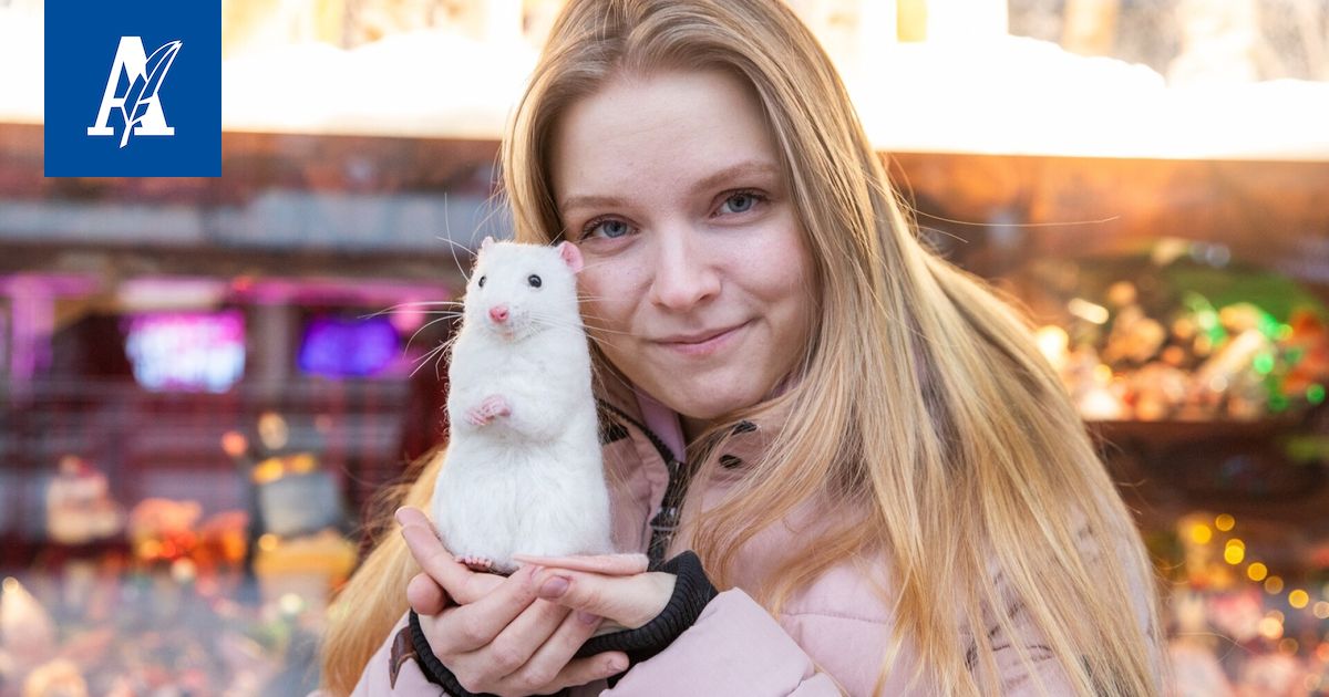 Aito vai ei? Ihmiset sekosivat tamperelaisen Mirjami Aholan suloisista eläin­teoksista, jollaisen saamiseksi on kahden vuoden jono