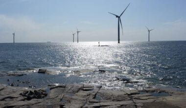 Selvityksen mukaan Porin Tahkoluodon merituuli­puistosta ei ole haittaa linnuille | Satakunta