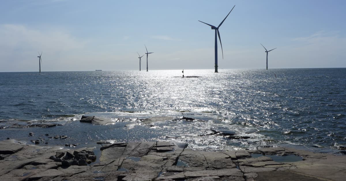 Selvityksen mukaan Porin Tahkoluodon merituuli­puistosta ei ole haittaa linnuille | Satakunta