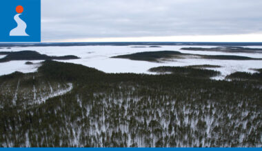 Oikeus kumosi suden tappoluvat Olvassuolla – lupa rikkoi luonnonpuiston koskemattomuutta