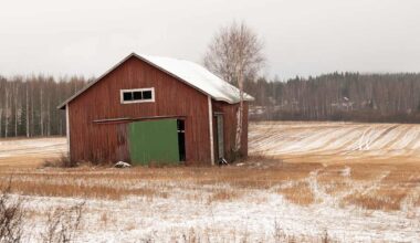 Suomi on onnellisen ruoan maa vuonna 2040 – ministeriö julkaisi tiekartan ruoan tulevaisuudelle | Kotimaa