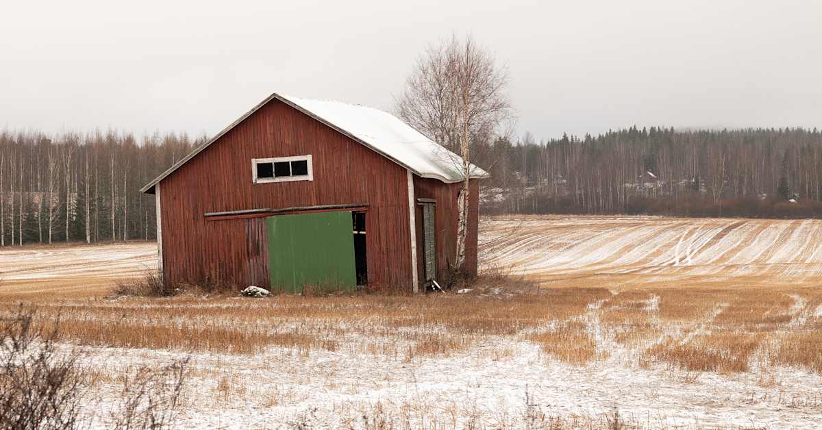 Suomi on onnellisen ruoan maa vuonna 2040 – ministeriö julkaisi tiekartan ruoan tulevaisuudelle | Kotimaa