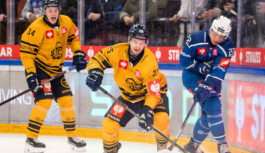 Suomalaisjoukkueiden tie katkesi CHL:n puolivälieriin | Urheilua lyhyesti