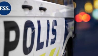 Kaupungille eksyneet peuranvasat päätyivät lohduttomaan kuntoon – poliisi lopetti ampumalla | Uutissuomalainen