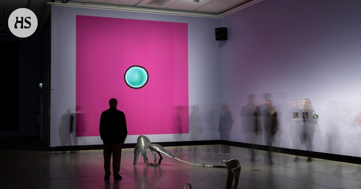 Lahden Malva-museo on noussut yhdeksi Suomen kiinnostavimmista nykytaidekohteista