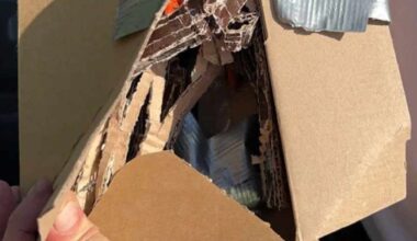 17-vuotias poika vei tuttunsa postilaatikolle pommin Kouvolassa – tuomittiin vankeuteen | Kymenlaakso