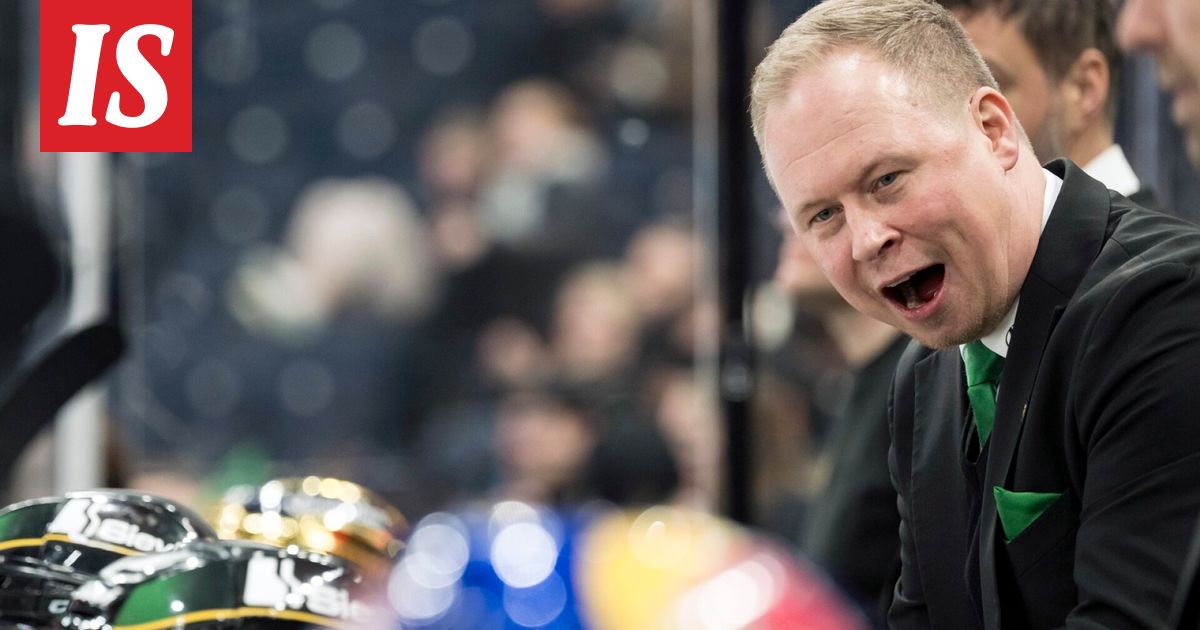 Ilves: Tommi Niemelä jatkaa päävalmentajana