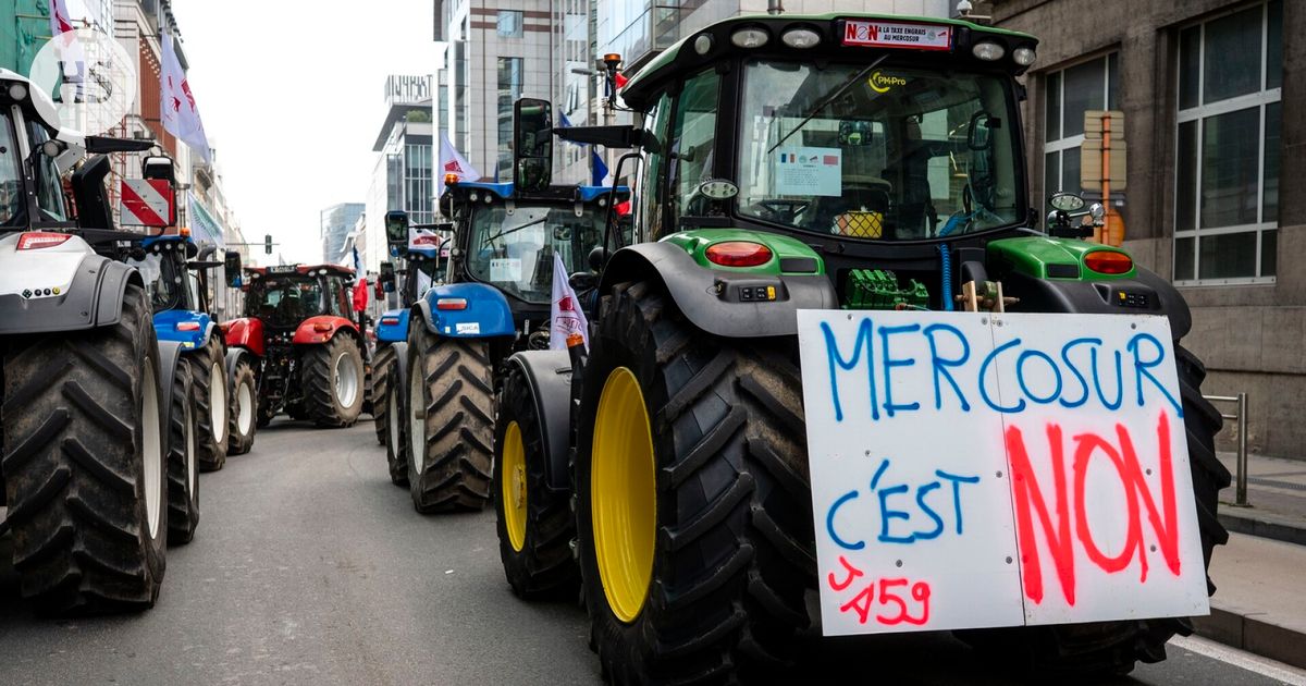 Viljelijät ottivat erävoiton teollisuudesta – EU-maat lykkäävät Mercosur-sopimusta