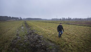 Viljelijät pelkäävät peltojen menettävän arvonsa vetyputkialueella: ”Hanketta on edistetty salamyhkäisesti” - Maatalous