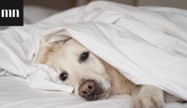 Miten ehkäistä flunssaa? Lääkäri kertoo, kuinka tehokkaita yleiset keinot ovat